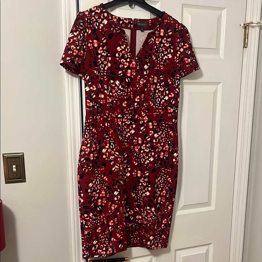 The Limited Floral Red Dress